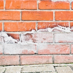 Wall Salting And Rising Damp Small