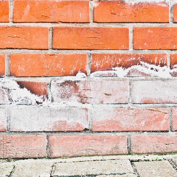 Wall Salting And Rising Damp Small